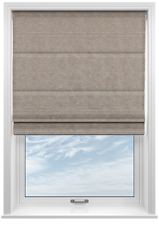 Darwin, Oyster - Roman Blind